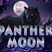 Panther Moon